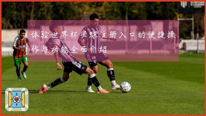 体验世界杯买球注册入口的便捷操作与功能全面介绍
