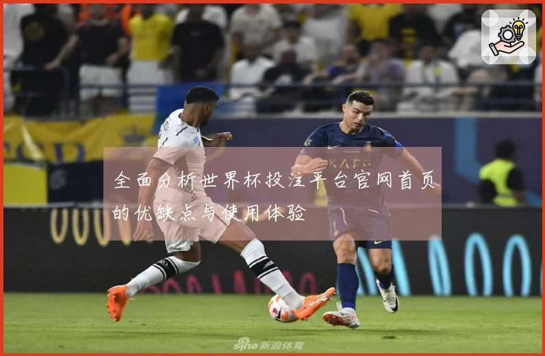 全面分析世界杯投注平台官网首页的优缺点与使用体验