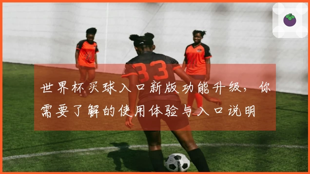 世界杯买球入口新版功能升级，你需要了解的使用体验与入口说明