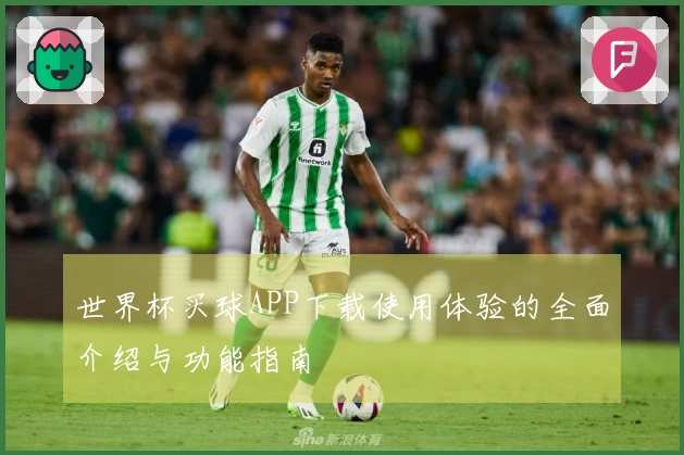 世界杯买球APP下载使用体验的全面介绍与功能指南