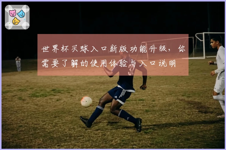 世界杯买球入口新版功能升级，你需要了解的使用体验与入口说明