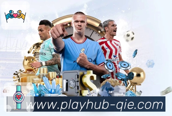 体育平台欢迎图